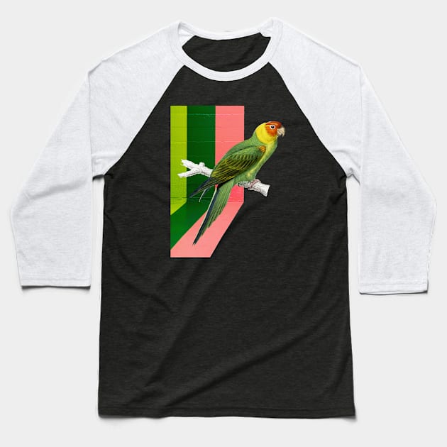 Graffiti Bird Baseball T-Shirt by Seven Trees Design